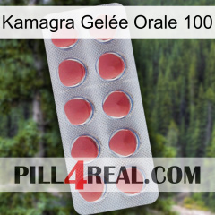 Kamagra Gelée Orale 100 18
